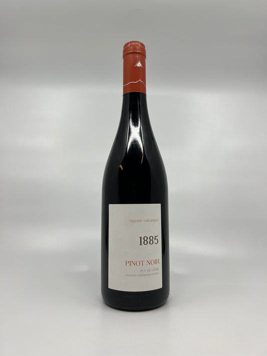 Domaine Saint Verny - Pinot noir 1885 2022