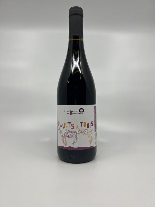 Domaine de Rocheville - Plants à Trois 2024